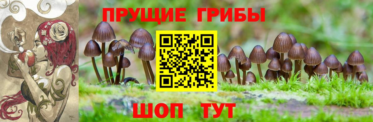 Галлюциногенные грибы Psilocybine cubensis  Вход с VPN  Кемерово 